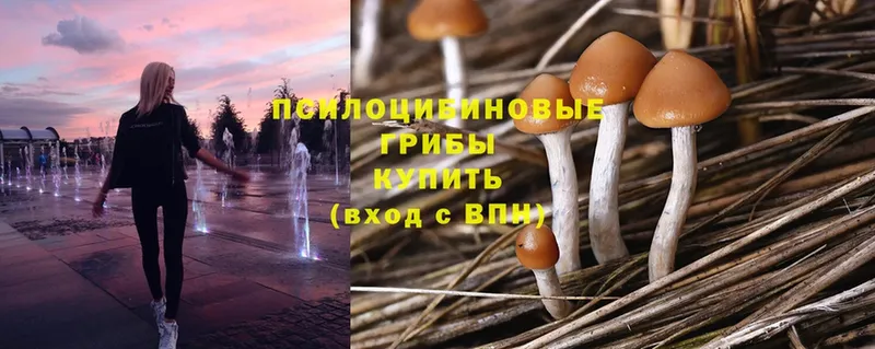 Галлюциногенные грибы Magic Shrooms Белебей